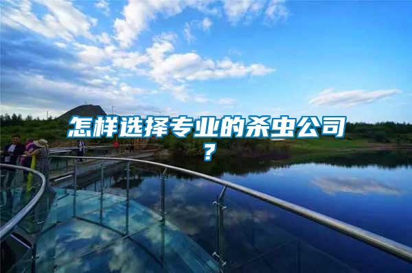 怎樣選擇專業的殺蟲公司？