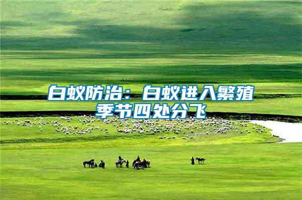 白蟻防治:白蟻進入繁殖季節四處分飛