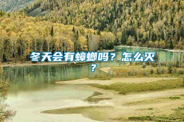 冬天會有蟑螂嗎?怎么滅?