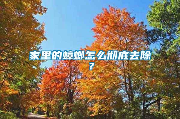家里的蟑螂怎么徹底去除?