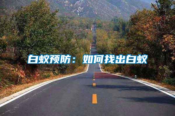 白蟻預防:如何找出白蟻