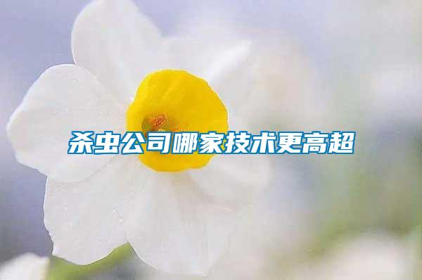 殺蟲(chóng)公司哪家技術(shù)更高超