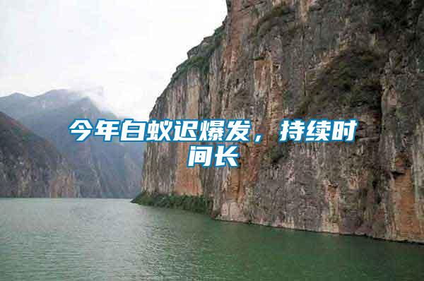 今年白蟻遲爆發,持續時間長