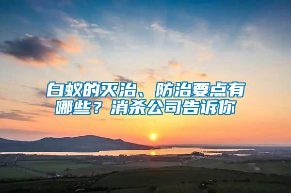白蟻的滅治、防治要點有哪些?消殺公司告訴你