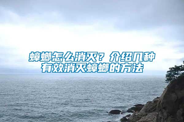 蟑螂怎么消滅?介紹幾種有效消滅蟑螂的方法
