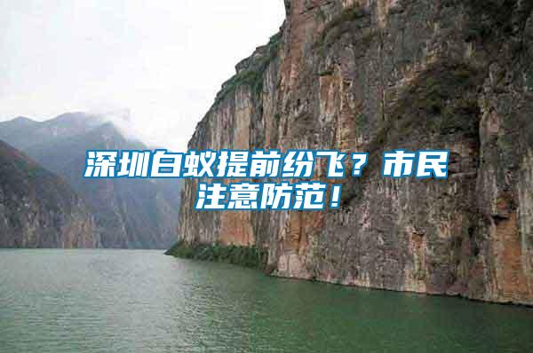 深圳白蟻提前紛飛?市民注意防范!