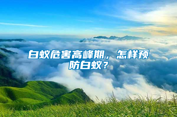 白蟻危害高峰期,怎樣預防白蟻?