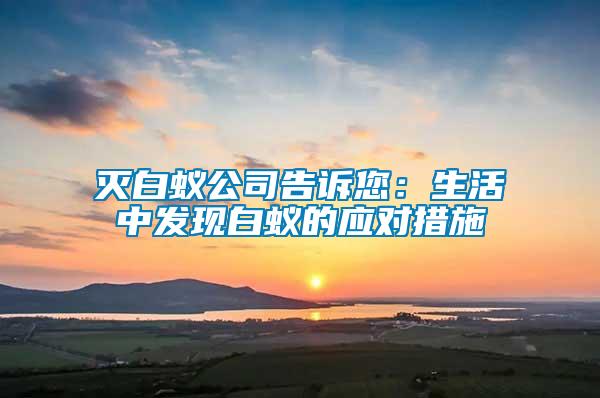 滅白蟻公司告訴您:生活中發現白蟻的應對措施