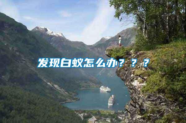 發現白蟻怎么辦???