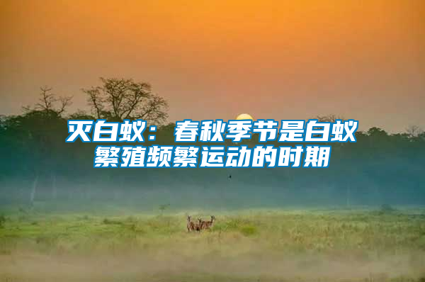 滅白蟻:春秋季節是白蟻繁殖頻繁運動的時期