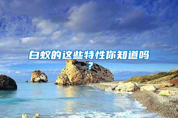 白蟻的這些特性你知道嗎?