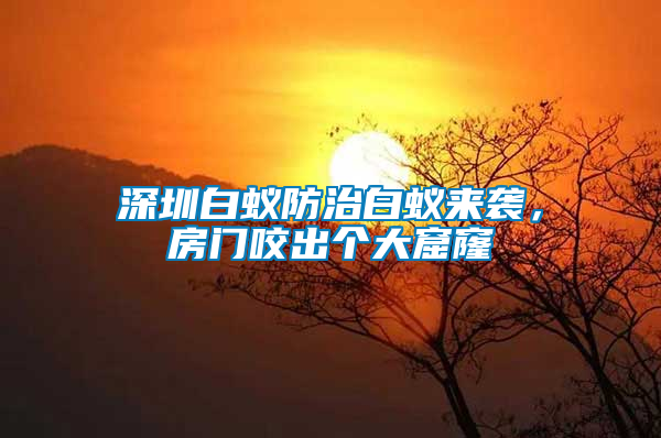 深圳白蟻防治白蟻來襲,房門咬出個(gè)大窟窿