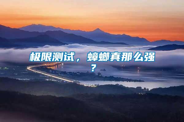 極限測試，蟑螂真那么強？