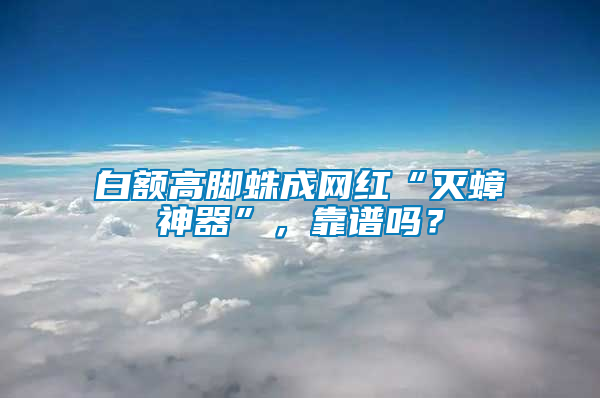 白額高腳蛛成網紅“滅蟑神器”,靠譜嗎?