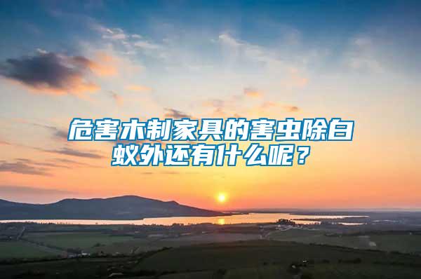 危害木制家具的害蟲除白蟻外還有什么呢？