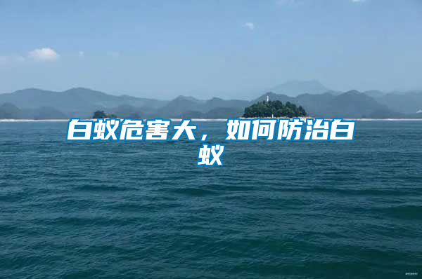 白蟻危害大,如何防治白蟻