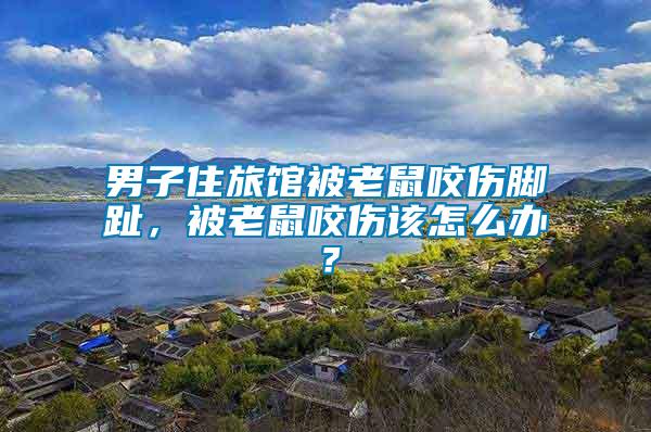 男子住旅館被老鼠咬傷腳趾，被老鼠咬傷該怎么辦？