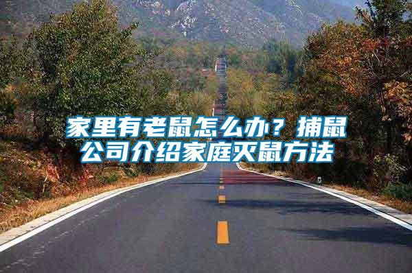 家里有老鼠怎么辦?捕鼠公司介紹家庭滅鼠方法