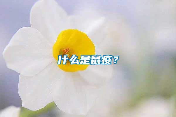 什么是鼠疫?