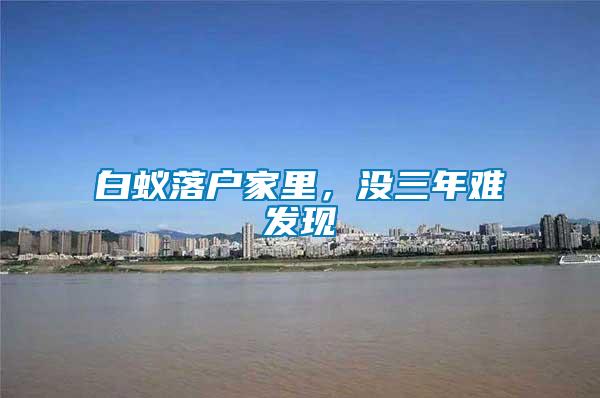 白蟻落戶家里,沒三年難發現