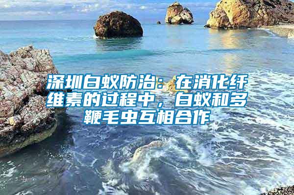 深圳白蟻防治:在消化纖維素的過程中,白蟻和多鞭毛蟲互相合作