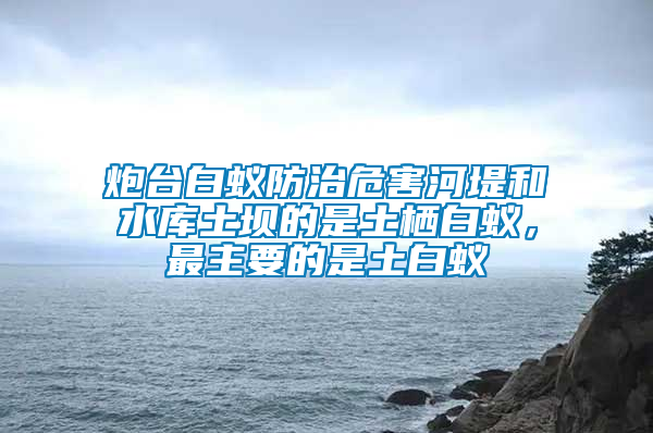 炮臺白蟻防治危害河堤和水庫土壩的是土棲白蟻,最主要的是土白蟻