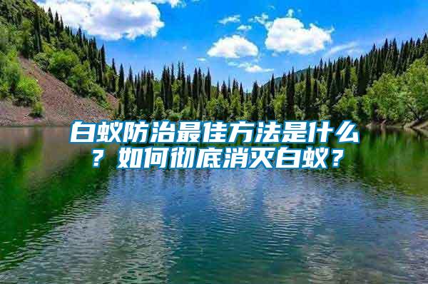 白蟻防治最佳方法是什么?如何徹底消滅白蟻?