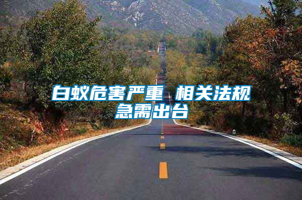 白蟻危害嚴(yán)重 相關(guān)法規(guī)急需出臺