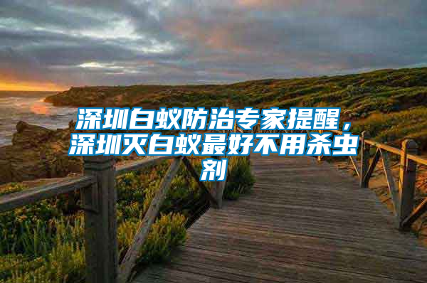 深圳白蟻防治專家提醒,深圳滅白蟻最好不用殺蟲劑