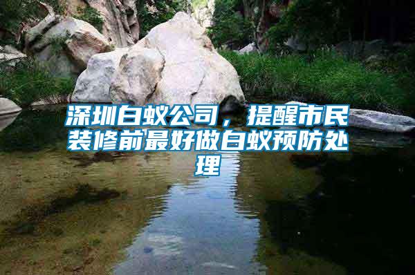 深圳白蟻公司，提醒市民裝修前最好做白蟻預防處理