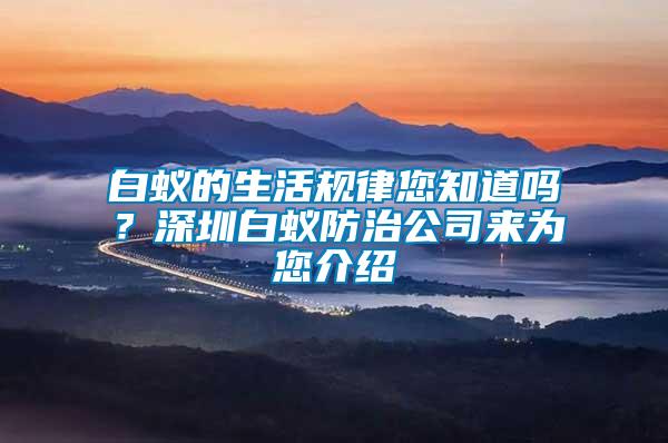 白蟻的生活規律您知道嗎?深圳白蟻防治公司來為您介紹