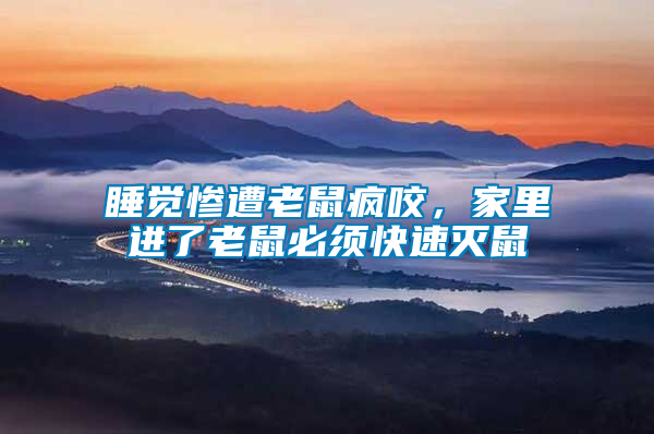 睡覺慘遭老鼠瘋咬，家里進了老鼠必須快速滅鼠