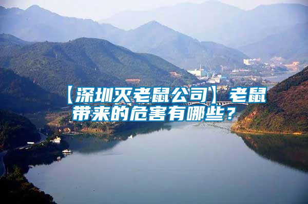 【深圳滅老鼠公司】老鼠帶來的危害有哪些?