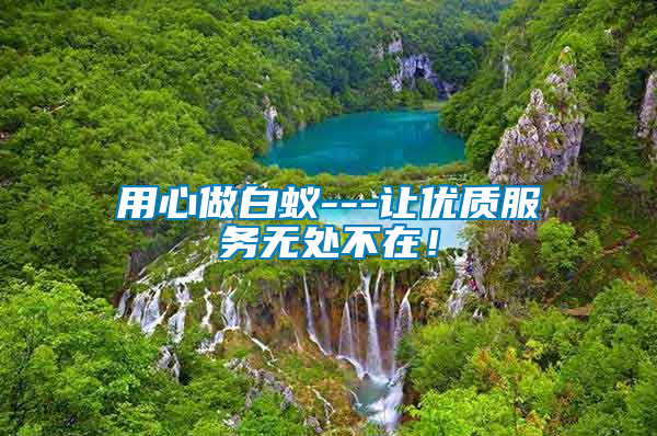 用心做白蟻---讓優(yōu)質(zhì)服務(wù)無處不在！