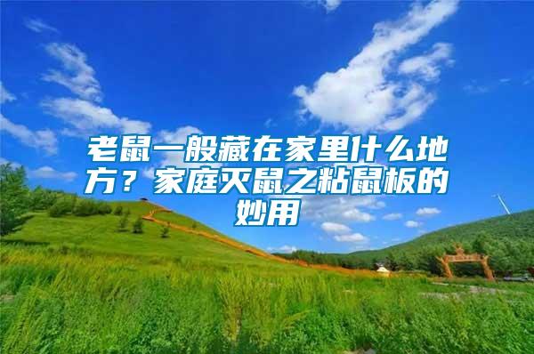 老鼠一般藏在家里什么地方?家庭滅鼠之粘鼠板的妙用