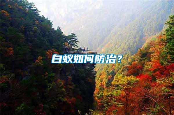 白蟻如何防治?