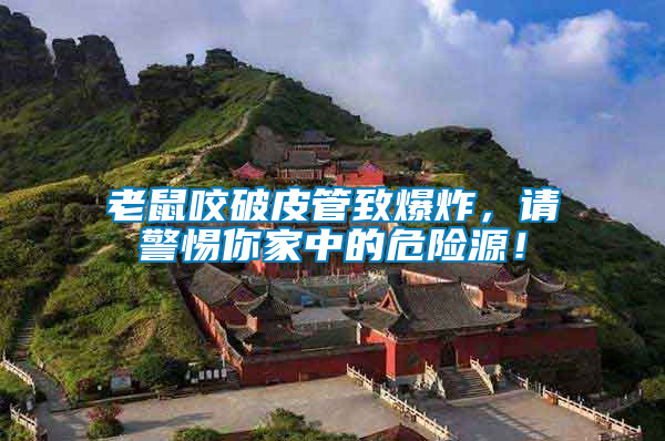 老鼠咬破皮管致爆炸,請警惕你家中的危險源!