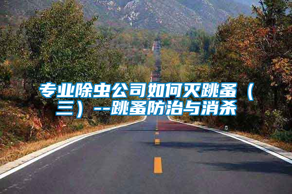 專業除蟲公司如何滅跳蚤(三)--跳蚤防治與消殺