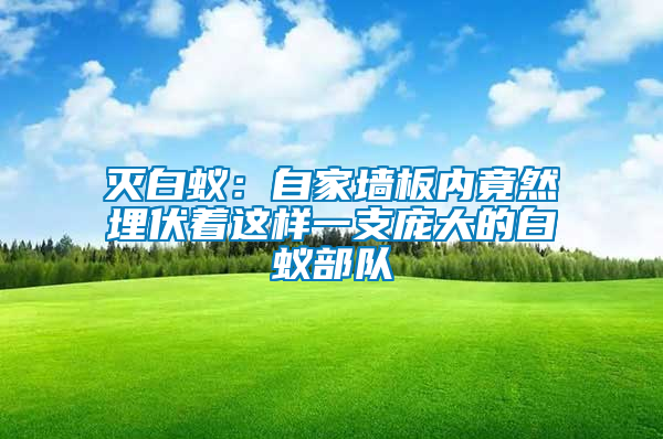 滅白蟻:自家墻板內竟然埋伏著這樣一支龐大的白蟻部隊