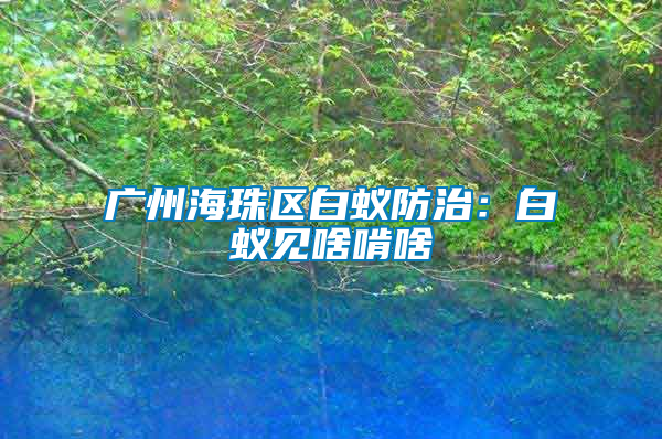 廣州海珠區白蟻防治:白蟻見啥啃啥