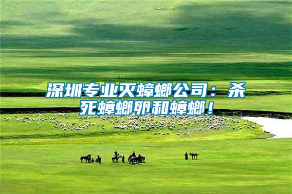 深圳專業(yè)滅蟑螂公司:殺死蟑螂卵和蟑螂!