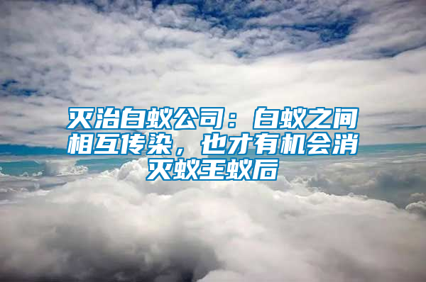 滅治白蟻公司:白蟻之間相互傳染,也才有機會消滅蟻王蟻后
