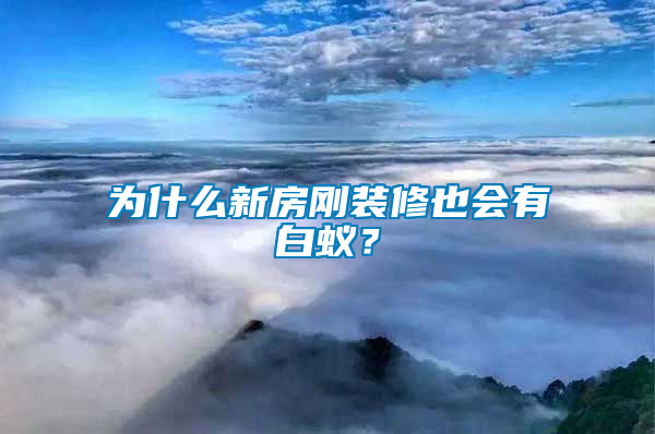 為什么新房剛裝修也會有白蟻?