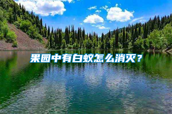 果園中有白蟻怎么消滅？