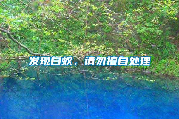 發(fā)現(xiàn)白蟻，請(qǐng)勿擅自處理