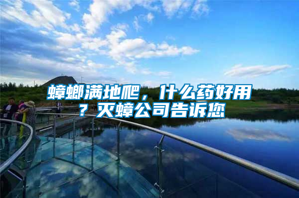 蟑螂滿地爬，什么藥好用？滅蟑公司告訴您