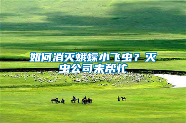 如何消滅蛾蠓小飛蟲？滅蟲公司來幫忙