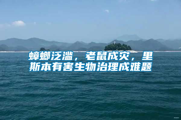 蟑螂泛濫,老鼠成災,里斯本有害生物治理成難題