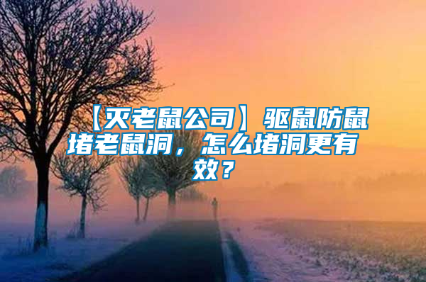 【滅老鼠公司】驅(qū)鼠防鼠堵老鼠洞,怎么堵洞更有效?