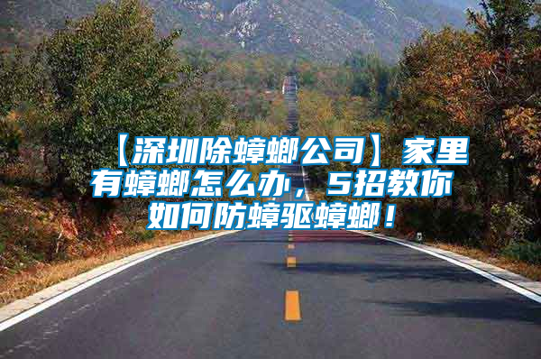【深圳除蟑螂公司】家里有蟑螂怎么辦，5招教你如何防蟑驅蟑螂！